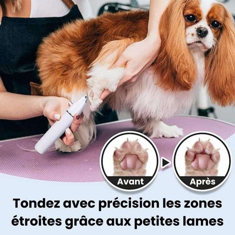 Tondeuse 4 en 1 pour animaux de compagnie - DoggyCoiff
