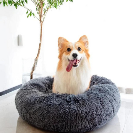 FluffyBed™ - Coussin apaisant déhoussable | Chien