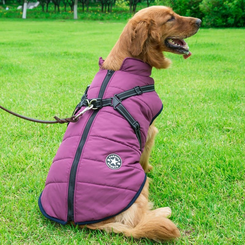 Veste imperméable avec harnais intégré | DoggyCover™