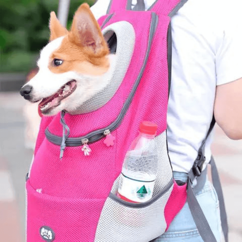 SAC DE TRANSPORT POUR CHIEN | DoggyBag™