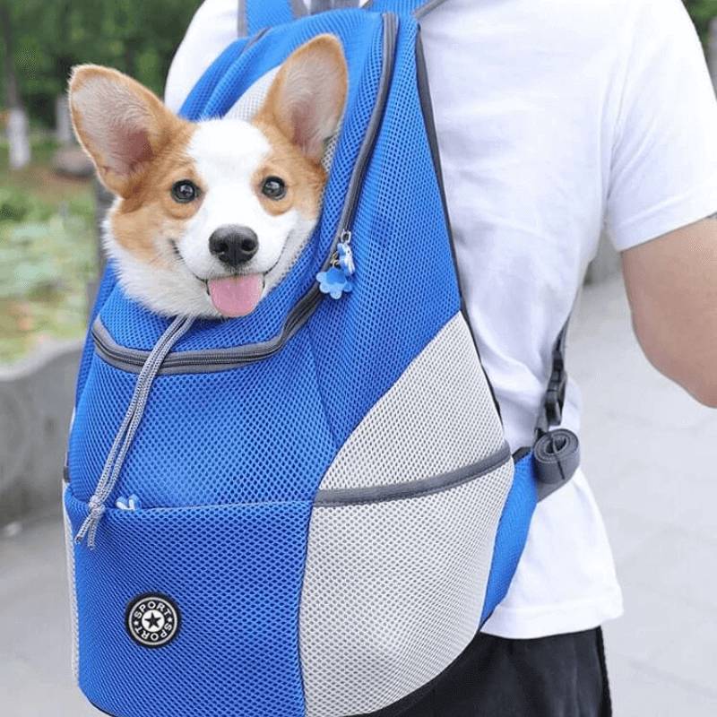 SAC DE TRANSPORT POUR CHIEN | DoggyBag™