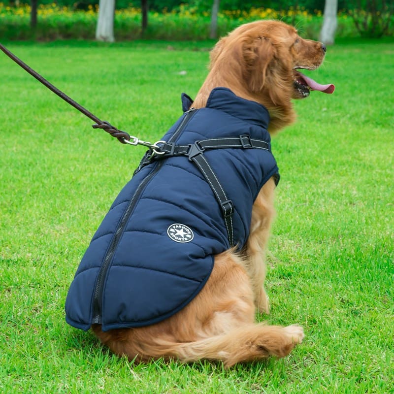 Veste imperméable avec harnais intégré | DoggyCover™