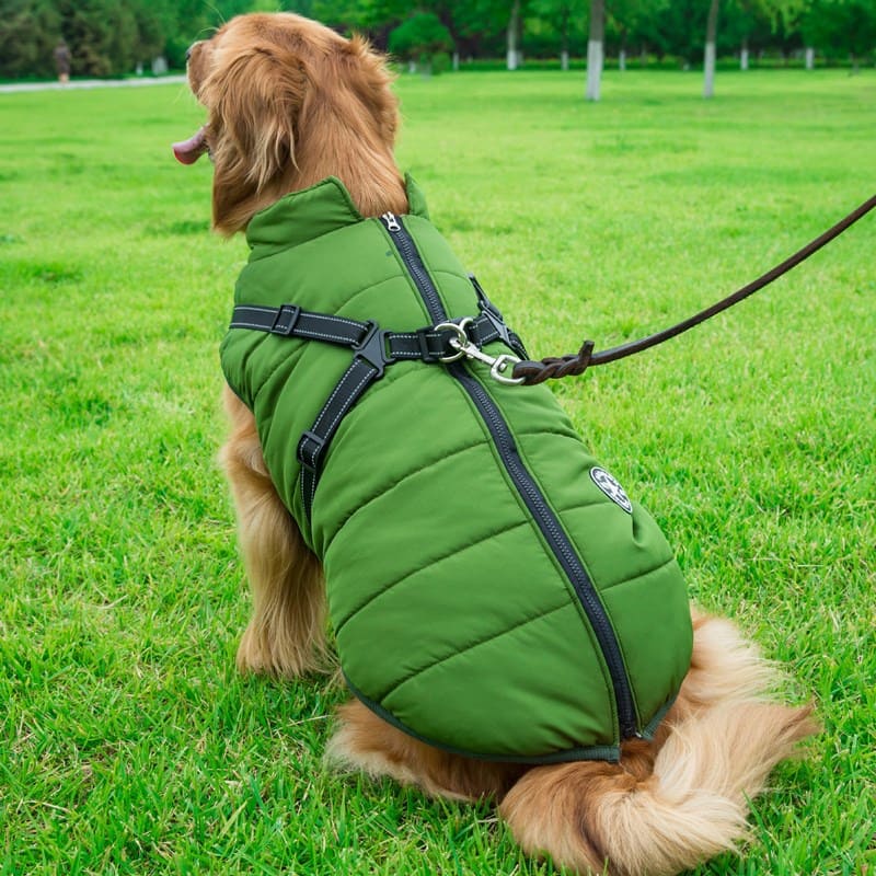 Veste imperméable avec harnais intégré | DoggyCover™