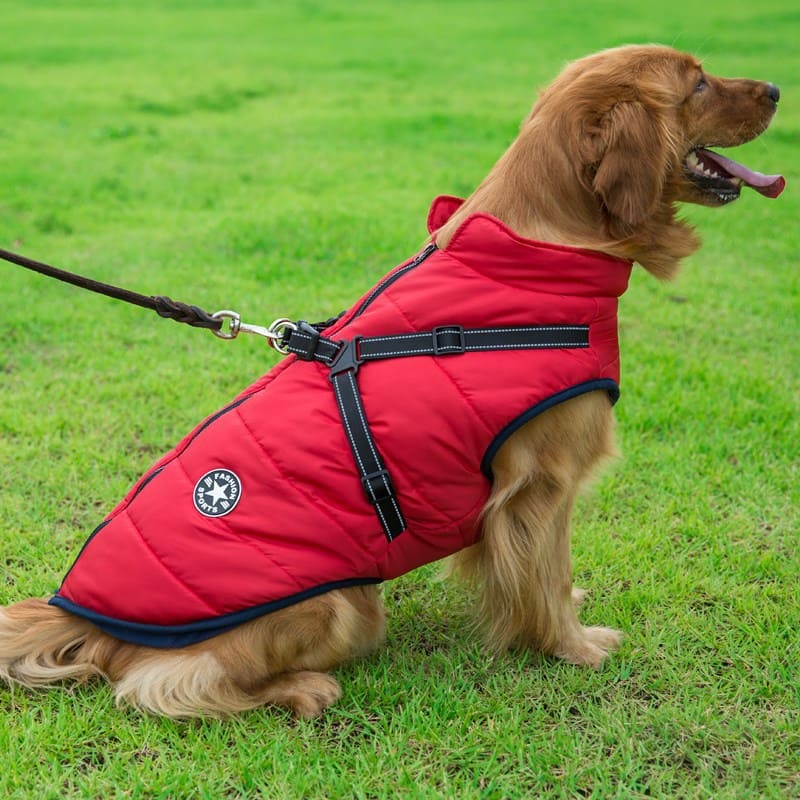 Veste imperméable avec harnais intégré | DoggyCover™