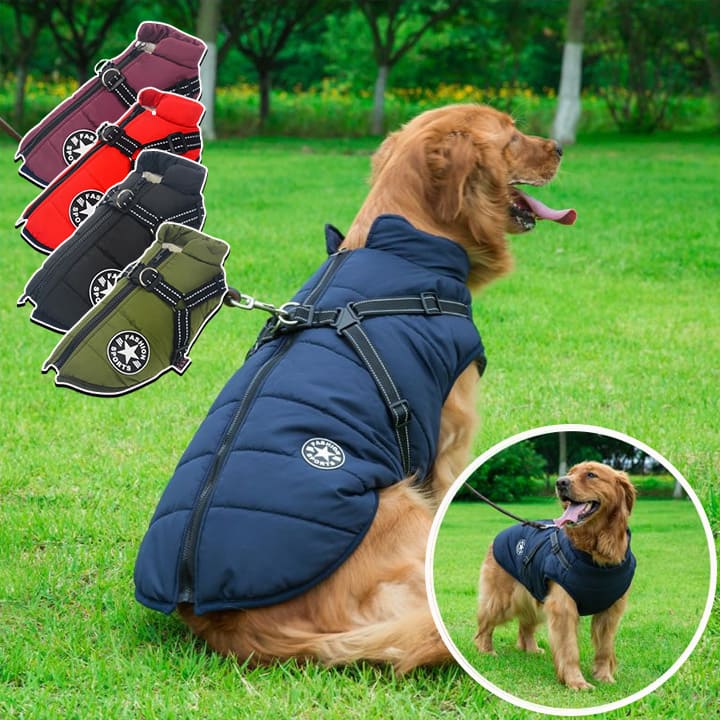 Veste imperméable avec harnais intégré | DoggyCover™