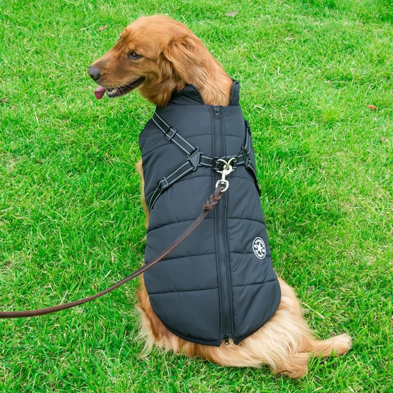 Veste imperméable avec harnais intégré | DoggyCover™